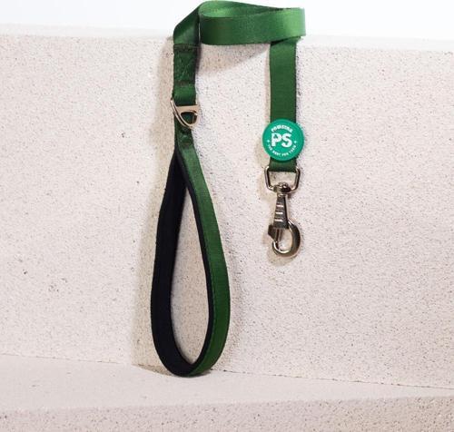 Çam Yeşili Köpek Gezdirme Kayışı 120 cm x 2 cm