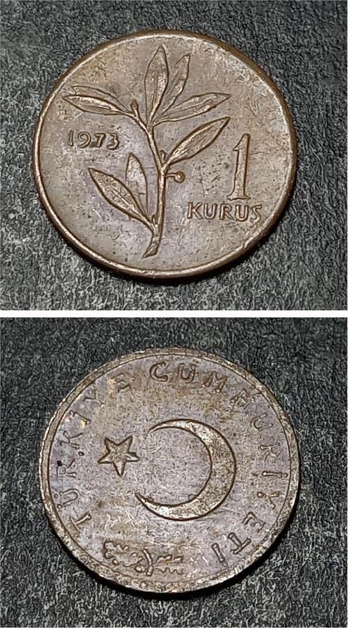 3996368734166b01db 1Kuruş 1973 Eski Madeni Para