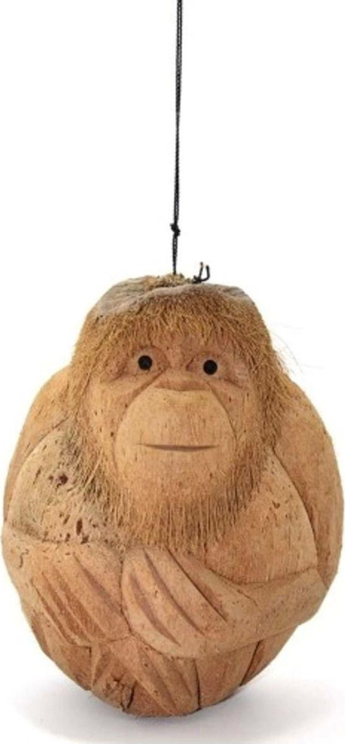 Coconat Maymun Büstü Model 1