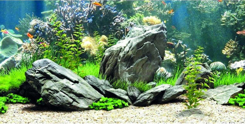 Kp1256334 Akvaryum Arka Fon Yapıştırma 125 X 63 Cm