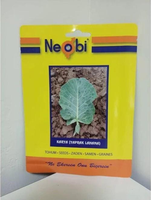Kara Yaprak Lahana Tohumu 10 Gr 5Ad