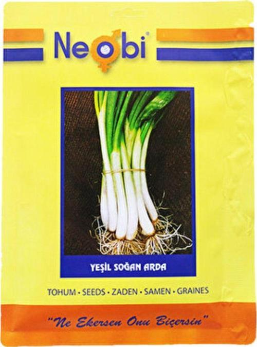Yeşil Soğan Tohumu 10 Gr 4Ad
