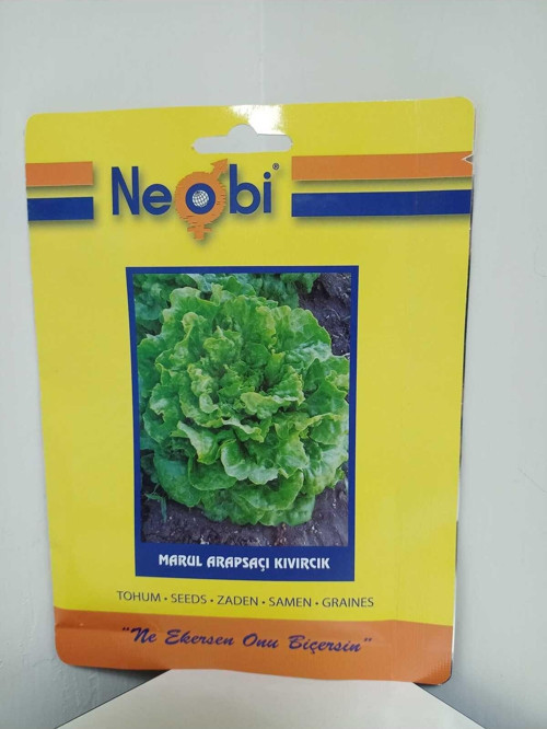 Arapsaçı Kıvırcık Marul Tohumu 10 Gr