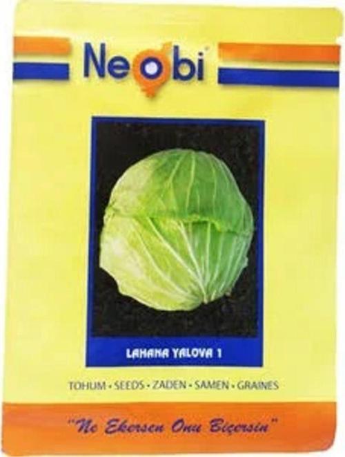 Yalova Lahana Tohumu 10 Gr 3Ad