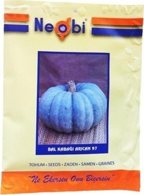Bal Kabağı Tohumu Arıcan
