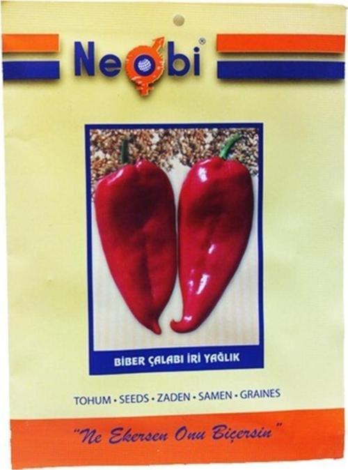 Biber Tohumu Çalabı Iri Yağlık