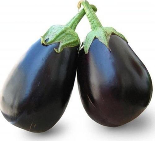 Patlıcan Tohumu Topan 10 Gr