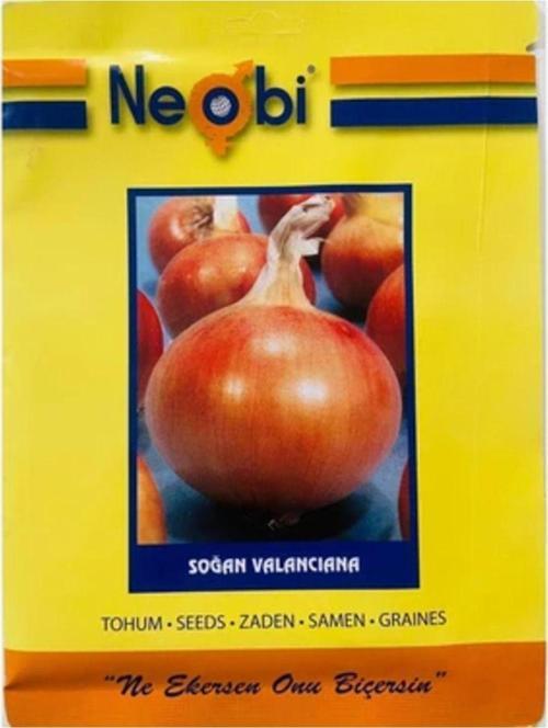 Soğan Tohumu 10 Gr 5Ad