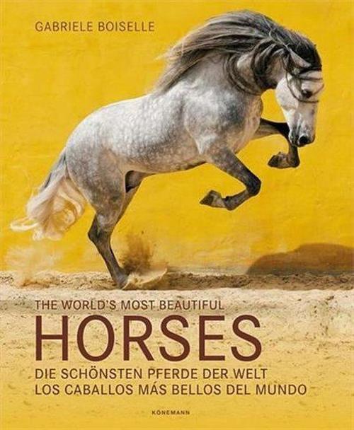 The World's Most Beautiful Horses