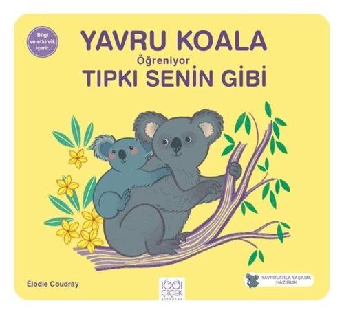 Yavru Koala Öğreniyor Tıpkı Senin Gibi - Yavrularla Yaşama Hazırlık