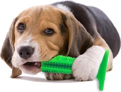Köpek Diş Temizleyici Oyuncak - Isırma Aparatı Çubuk 15 Cm