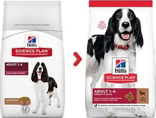 Medium Lamb Orta Irk Kuzulu Yetişkin Köpek Maması 14 kg