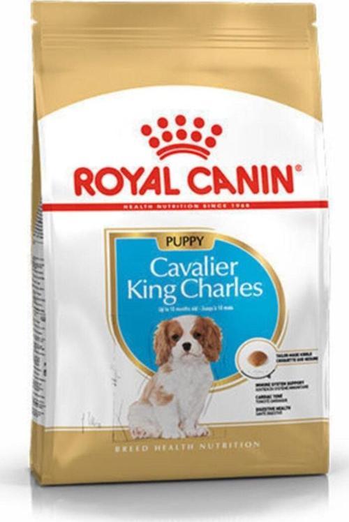 Cavalier King Charles Junior Yavru Köpek Maması 1,5 kg