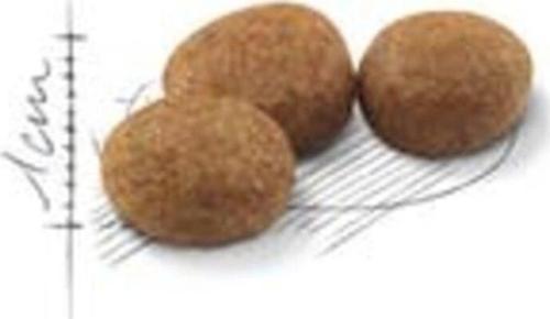 Sterilised 37 Kedi Maması 4 Kg