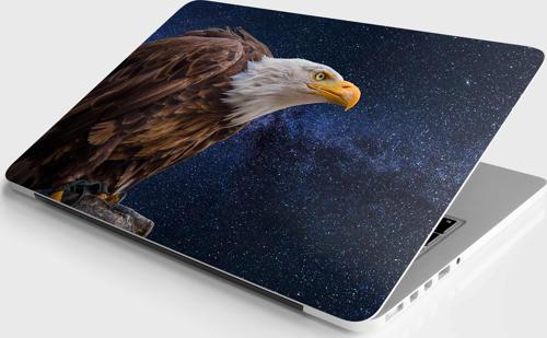 Laptop Sticker Bilgisayar Notebook Pc Kaplama Etiketi Kartal