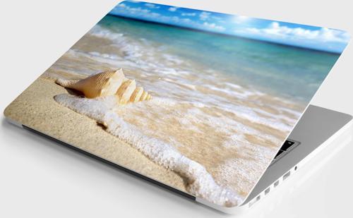 Laptop Sticker Bilgisayar Notebook Pc Kaplama Etiketi Deniz Kabuğu