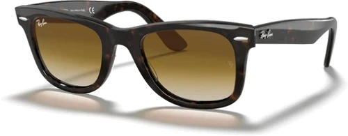 RB2193 1316 3M 51.18 Unisex Güneş Gözlüğü
