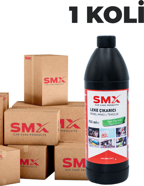 Leke Çıkarıcı /Genel Amaçlı Temizlik Ürünü 750ml 20 Adet (1 Koli)
