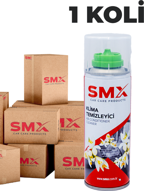 Klima Temizleyici 200 mL 24 Adet (1 Koli)