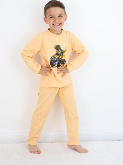 Erkek Pijama Takımı