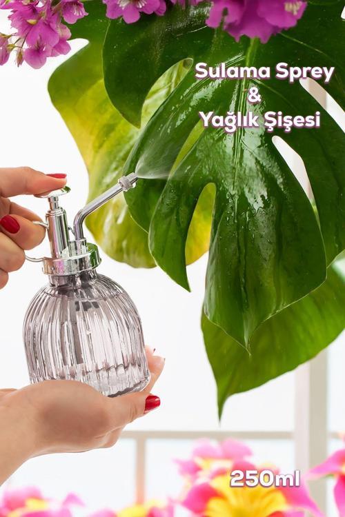 15731 Gri Vintage Cam Bitki Sulama Şişesi Oda Kokusu Dağıtıcı Çok Amaçlı Sprey Şişe 250 ml