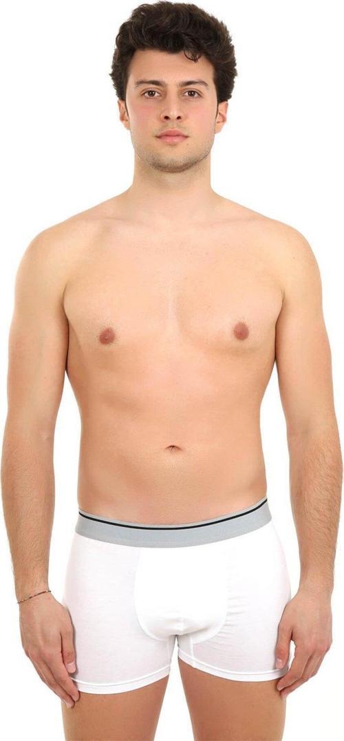 Erkek Likralı Boxer 40056