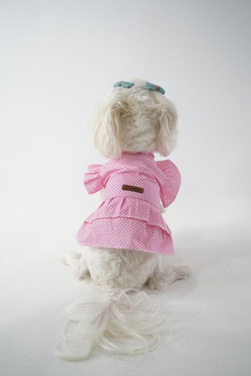 Puantiyeli Kedi Köpek Poplin Elbise