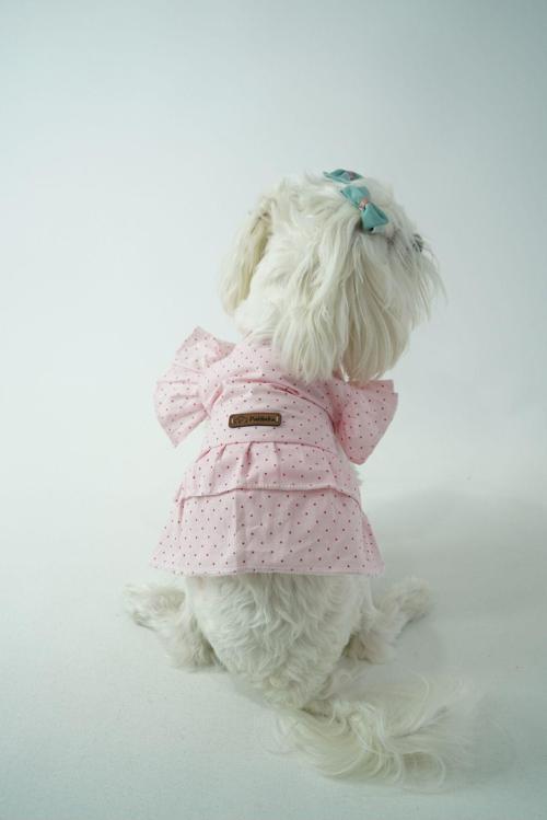Puantiyeli Kedi Köpek Poplin Elbise