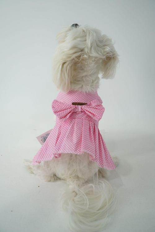 Kedi - Köpek Fiyonklu Poplin Elbise Kıyafet