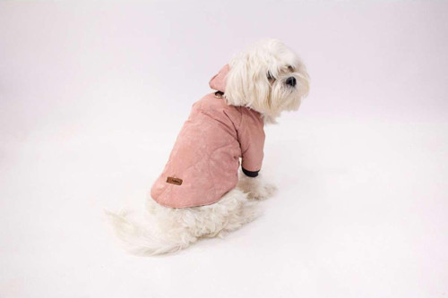 Kedi - Köpek Kapitoneli Şişme Kışlık Mont - Kıyafet