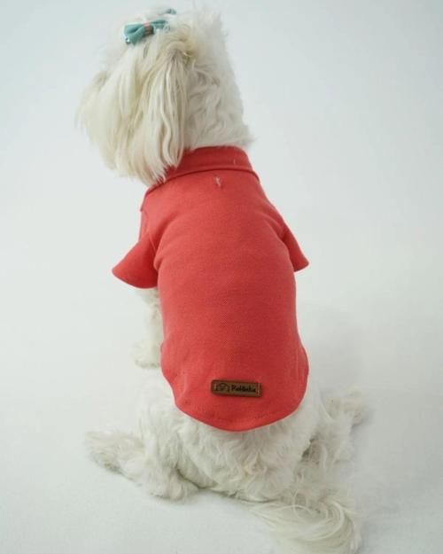 Kedi - Köpek Polo Yaka Tişört Narçiçeği