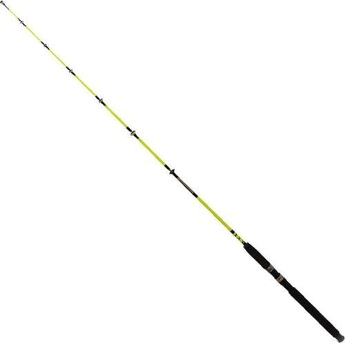 Pagrus Yellow 60-120 gr Bot Kamış 165cm