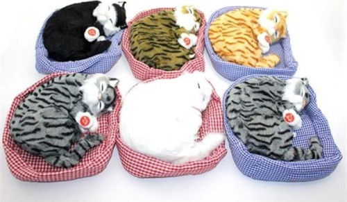 Horlayan Yastıkta Uyuyan Kedi Sesli