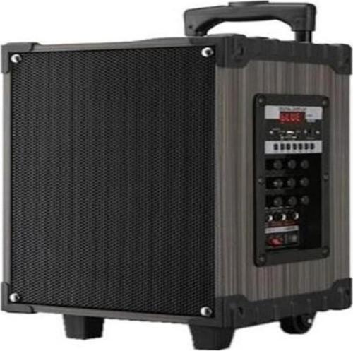 Pl-4612 Mikrofonlu Bt, Sd, Usb Speaker