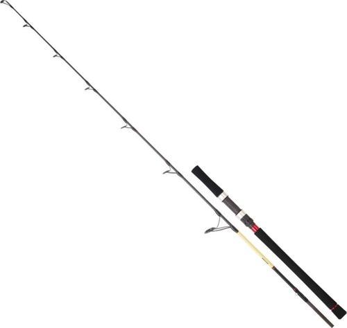 Grandwave 168 cm 100-300 gr Jig Kamış