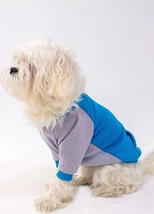 Kedi - Köpek Mevsimlik Kapüşonlu Mavi&Gri Sweat - Kıyafet