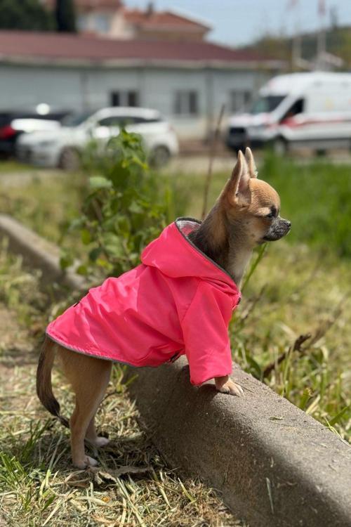Kedi - Köpek Kıyafeti Kapşonlu Pembe Yağmurluk & Mont