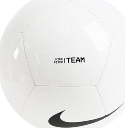 Unisex Futbol Topu Nk Pıtch Team - Sp21 DH9796-100