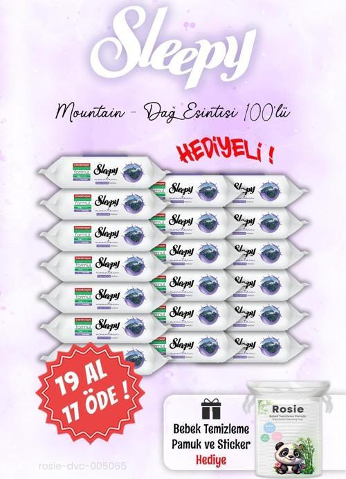 100'lü Sleepy Mountain 19 AL 17 ÖDE Dağ Esintisi Islak Havlusu ve ROSIE