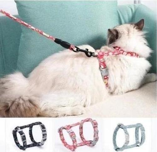 Kedi Gezdirme Göğüs Tasması