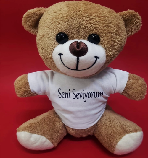 Kahverengi Seni Seviyorum Tişörtlü Ayı