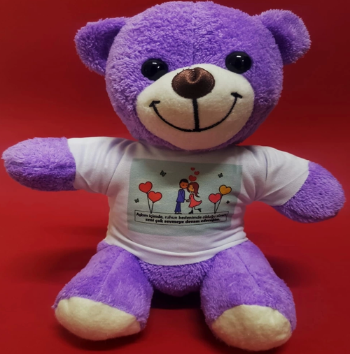 Mutlu Aşıklar Temalı Peluş Ayıcık