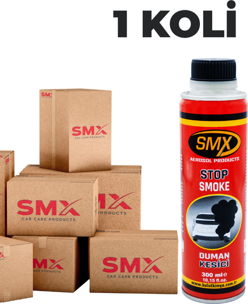 Duman Kesici 300 mL 24 Adet (1 Koli)