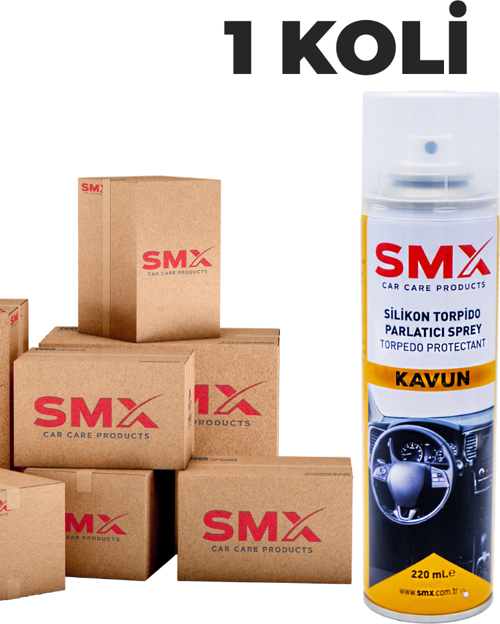 Silikon Torpido Parlatıcı Sprey 220 Ml (Kavun) 24 Adet 1 Koli