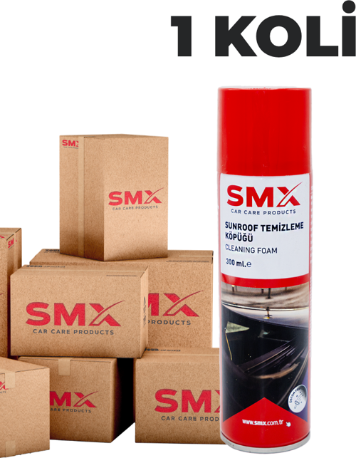 Sunroof Temizleme Köpüğü 300 Ml 24 Adet (1 Koli)