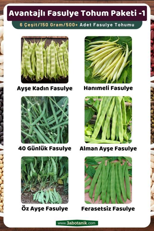 Avantajlı Fasulye Tohum Paketi-1, Toplam 6 Çeşit/150 Gram/Takribi 500 Adet Fasulye Tohumu
