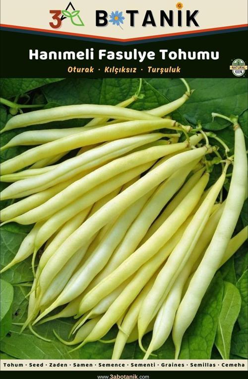 Hanımeli Oturak Fasulye Tohumu, Yerli Ve Sürdürülebilir Tohum, 10 Gram Fasulye Tohumu