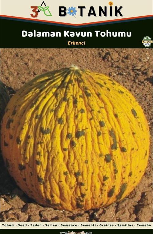 Dalaman Kavun Tohumu, Yerli Ve Sürdürülebilir Tohum, 5 Gram Kavun Tohumu