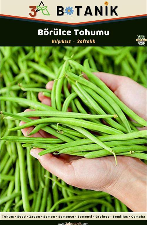 Börülce Tohumu, Yerli Ve Sürdürülebilir Tohum, 10 Gram Börülce Tohumu