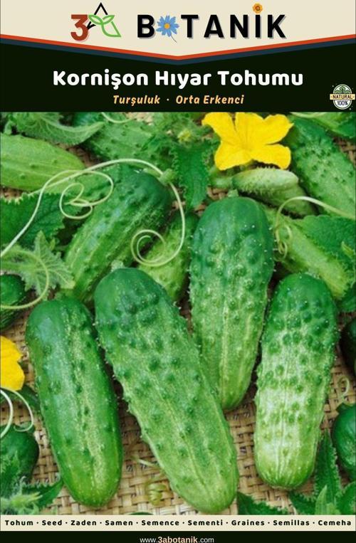 Kornişon Hıyar (Salatalık) Tohumu, Yerli Ve Sürdürülebilir Tohum, 2 Gram Hıyar Tohumu